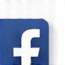 Facebook Icon Vignetten-Webinar Österreich